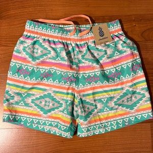 Chubbiest 5.5 Inseam Swim trunk